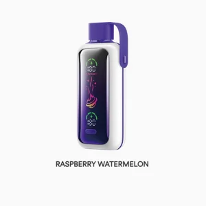 Vozol vape